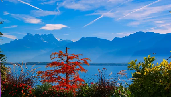 Abend am Genfer See, Montreux, Schweiz, Europa — Stockfoto