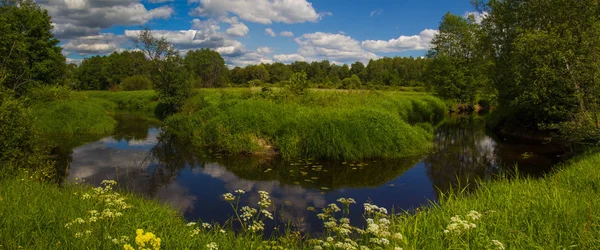 Letní krajina, slunečný, teplý den — Stock fotografie