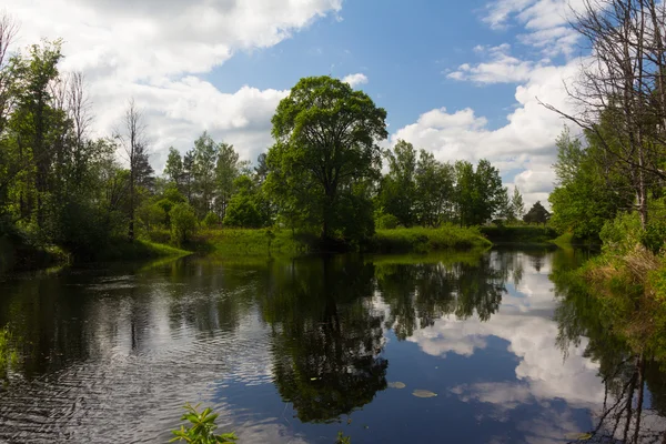 Summer landscape, Sunny, warm day — Stock Photo, Image