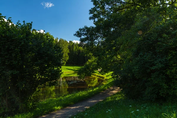 Pavlovsk Park, St. Petersburg, Rusko — Stock fotografie