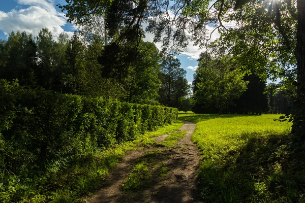 Pavlovsk Park, St. Petersburg, Russia — Stock Photo, Image