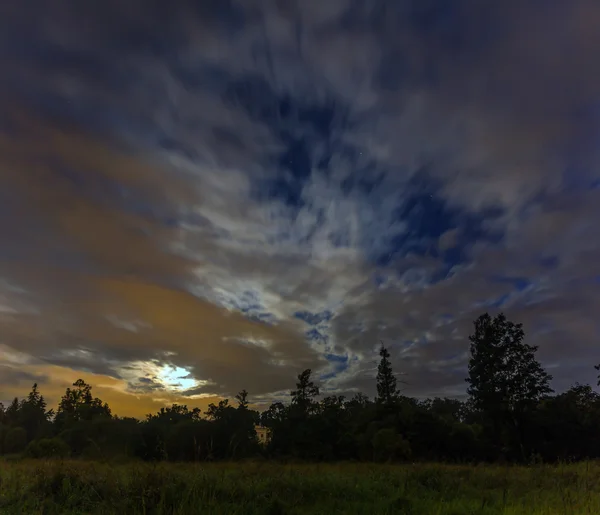 Hvězdná noc v lese — Stock fotografie