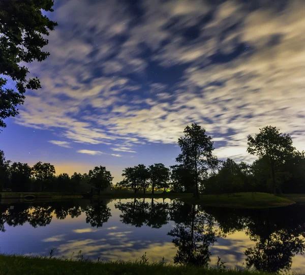 Nuit étoilée dans les bois — Photo