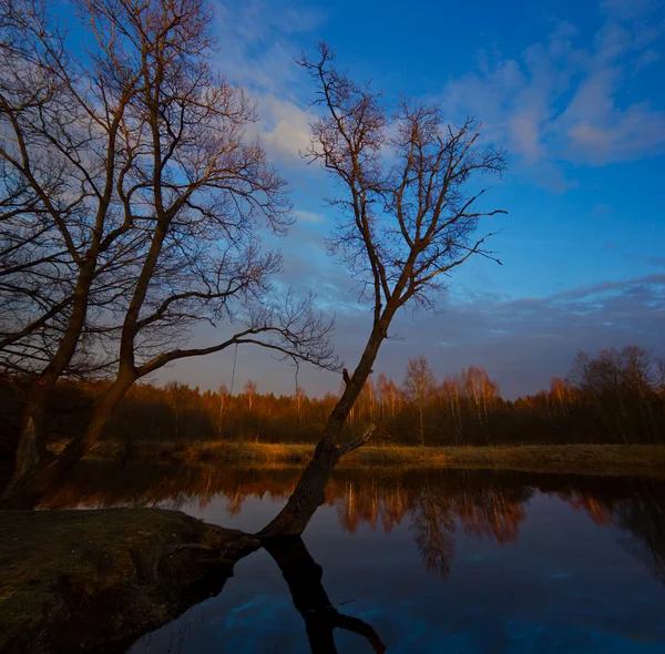 Quelle auf dem Fluss luga im Gebiet Novgorod, Russland — Stockfoto