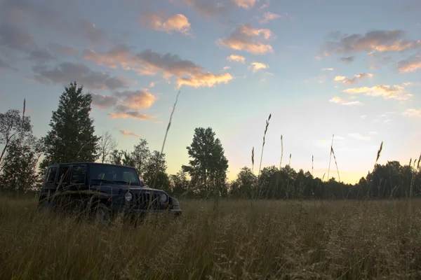 Jeep Wrangler sahara ilimitado na floresta, Rússia — Fotografia de Stock