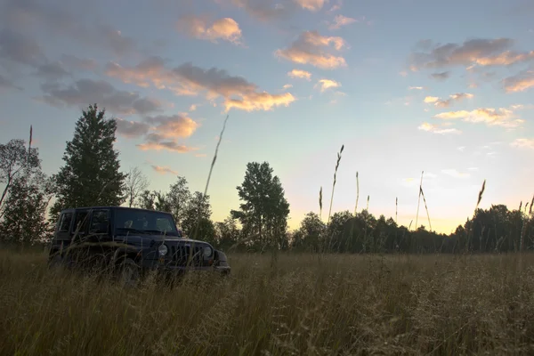 Jeep Wrangler unlimited sahara in the forest, Russia — Stock Photo, Image