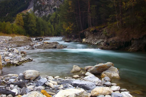 Alpesi növény folyó, Franciaország — Stock Fotó