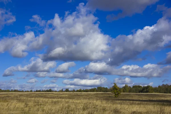 Paisaje otoñal, Rusia — Foto de Stock