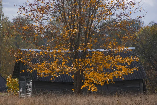 Höstlandskap, Ryssland — Stockfoto