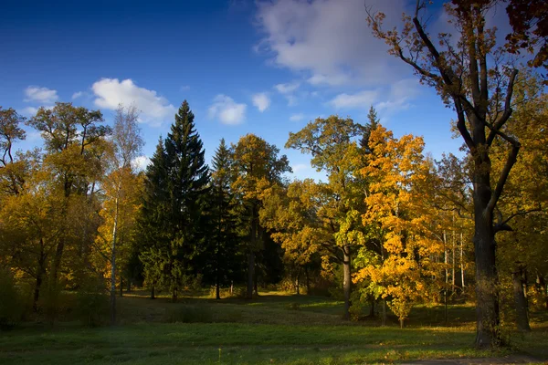 Herbstpark, Russland — Stockfoto