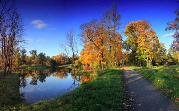 Podzimní park, Rusko — Stock fotografie