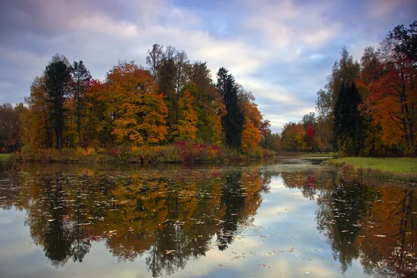 片秋色的公园，圣彼得堡俄罗斯 — 图库照片