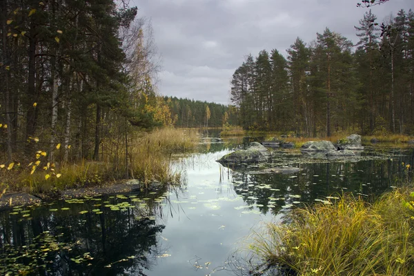 Jesień krajobraz, Federacja Rosyjska — Zdjęcie stockowe
