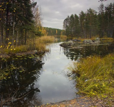 sonbahar manzarası, Rusya Federasyonu