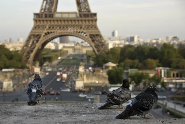 Eiffel-torony, Párizs, Franciaország — Stock Fotó