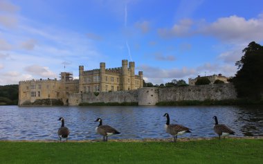 Leeds castle, Birleşik Krallık, İngiltere