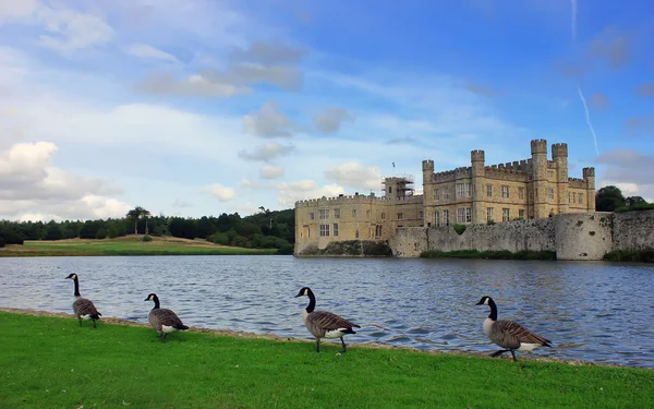 Leeds castle, Birleşik Krallık, İngiltere