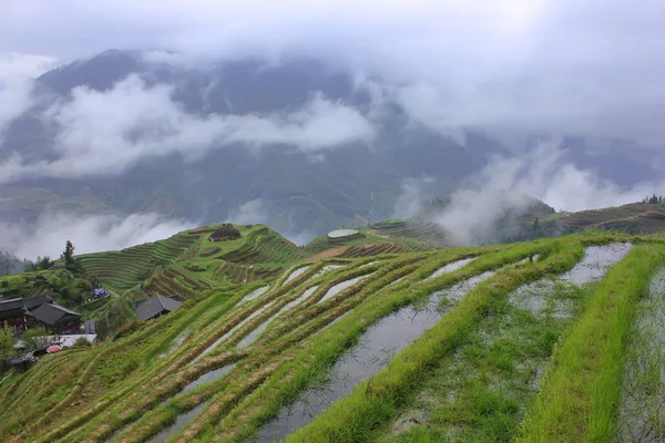 Rýžové terasy, Čína — Stock fotografie