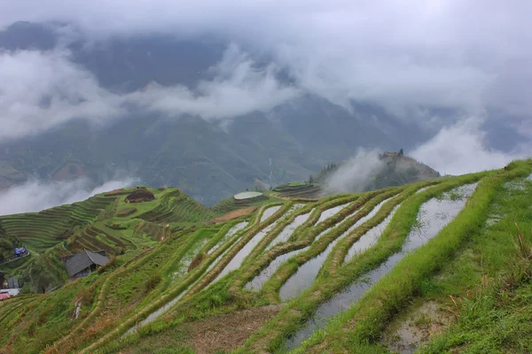 Terraços de arroz, China — Fotografia de Stock