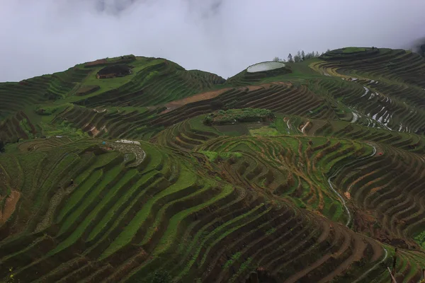 Rýžové terasy, Čína — Stock fotografie