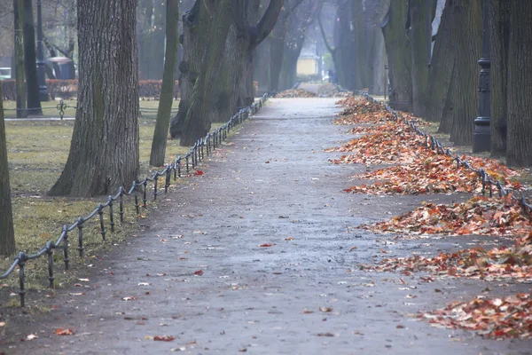 Фото Пейзажи Природы России Осень