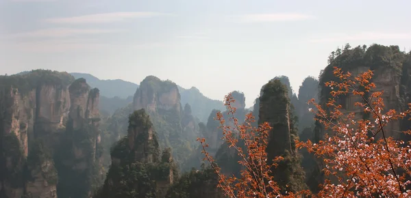 Zhāngjiājiè, China, Asien — Stockfoto