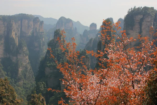 Zhāngjiājiè, China, Asia — Stock fotografie