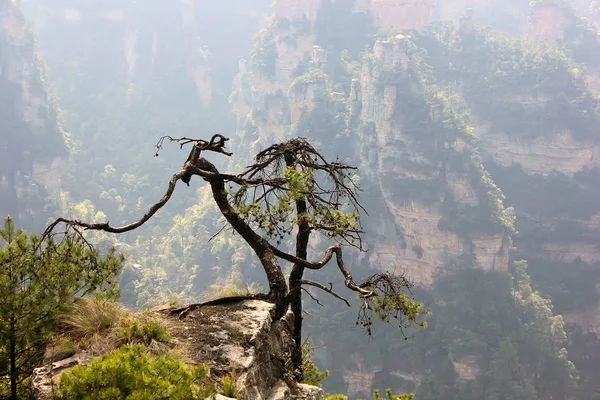 Zhāngjiājiè, China, Asia — стокове фото