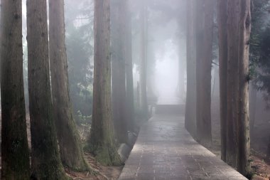 Zhāngjiājiè, China, Asia