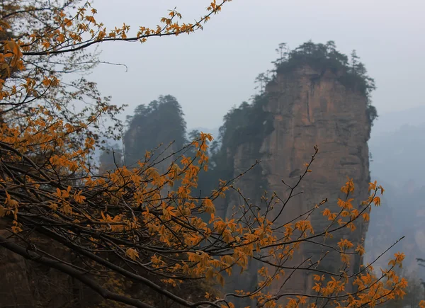 Zhāngjiājiè, China, Asia — Φωτογραφία Αρχείου