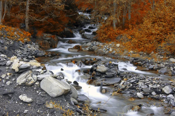 Mountain river, France, Europe — Stock Photo, Image