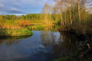 Nehrin Luga, Rusya Federasyonu