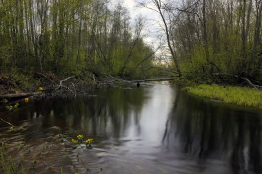 Bahar manzara, Rusya Federasyonu