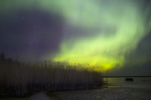 Északi fények, Ladoga-tó, Oroszország — Stock Fotó