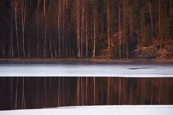 El reflejo en el agua — Foto de Stock