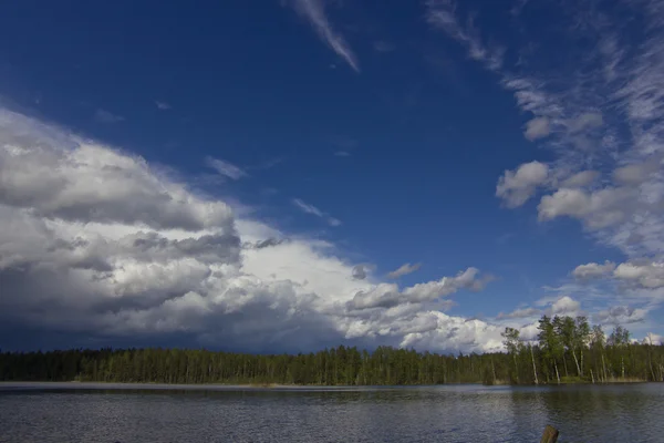 Lago da floresta — Fotografia de Stock