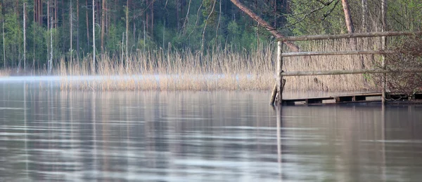 Wschód słońca nad jeziorem lesie — Zdjęcie stockowe