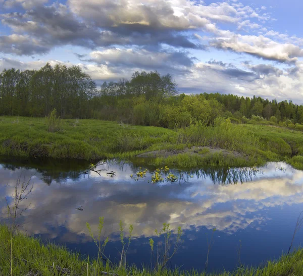 Forest river — Stock Photo, Image