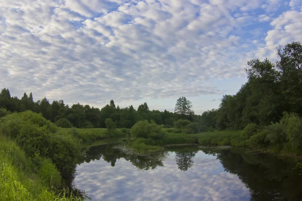 Forest river — Stock Photo, Image