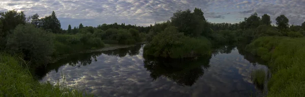 Skogen floden — Stockfoto