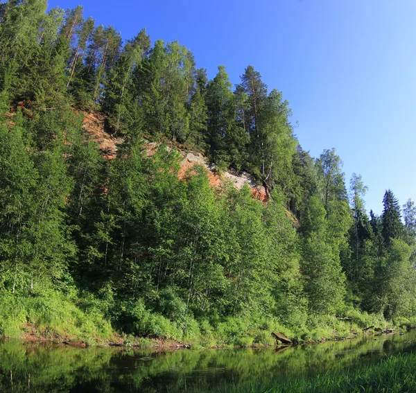 Forest River, Russia — Foto Stock