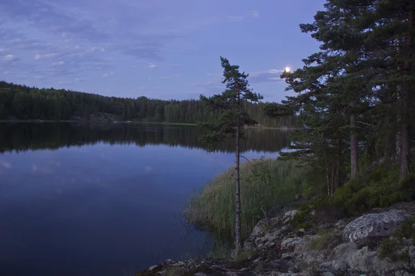 Biała noc na jeziorze Ładoga, Karelia, Federacja Rosyjska — Zdjęcie stockowe