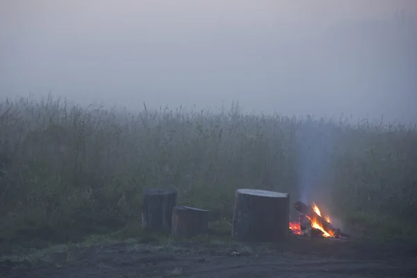 Camping w lesie — Zdjęcie stockowe