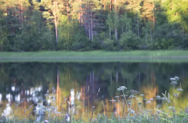 Insjö Ladoga Karelen — Stockfoto