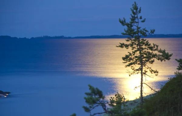 Insjö Ladoga Karelen — Stockfoto