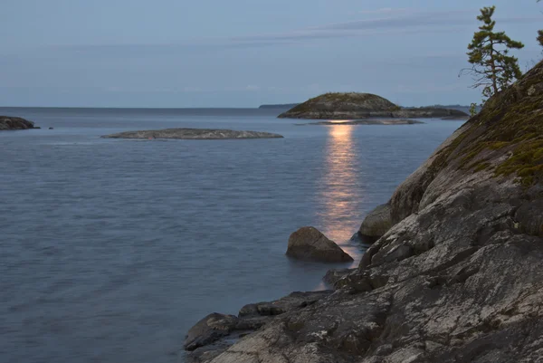 Nuit au clair de lune — Photo