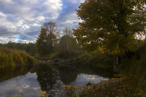 Autumn landscape — Stock Photo, Image