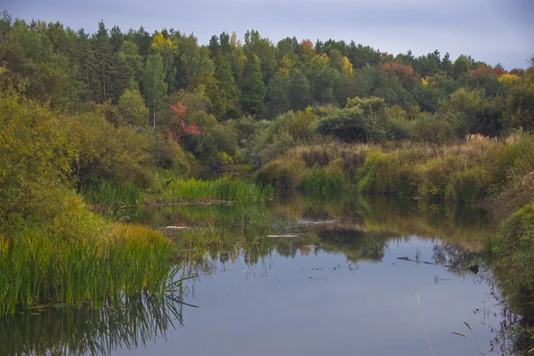 Herbstliche Landschaft — Stockfoto