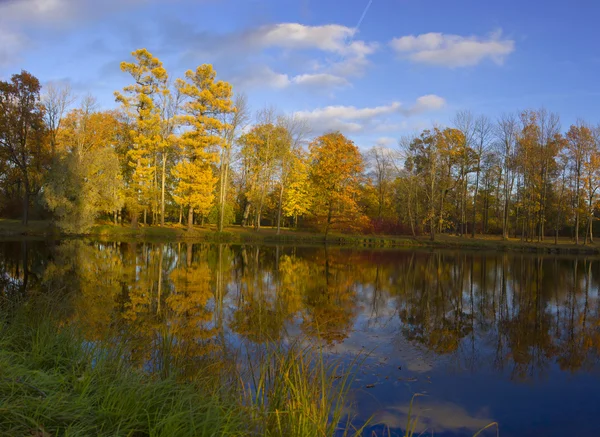 Goldener Herbst Puschkin Park, Russland — Stockfoto