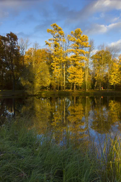 Gouden herfst Poesjkin Park, Rusland — Stockfoto